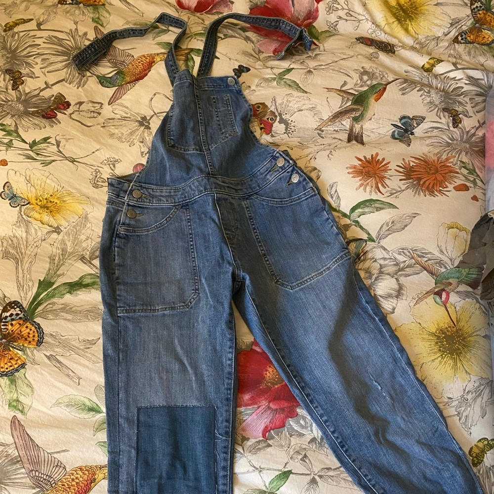Levi Overalls
